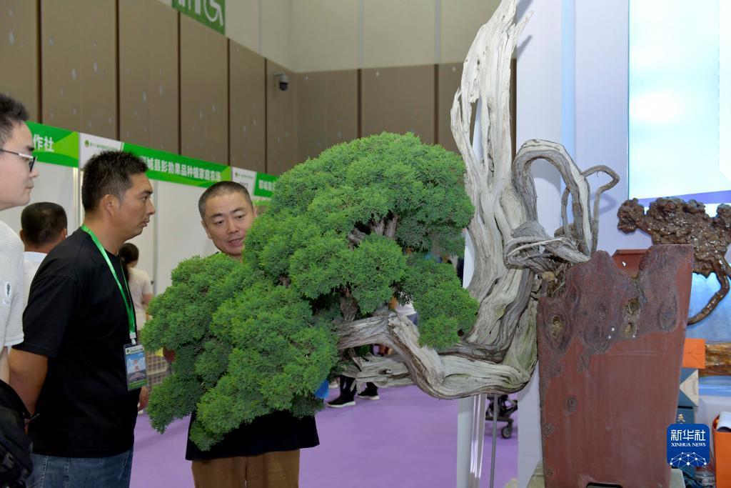 捕鱼游戏电脑破解版